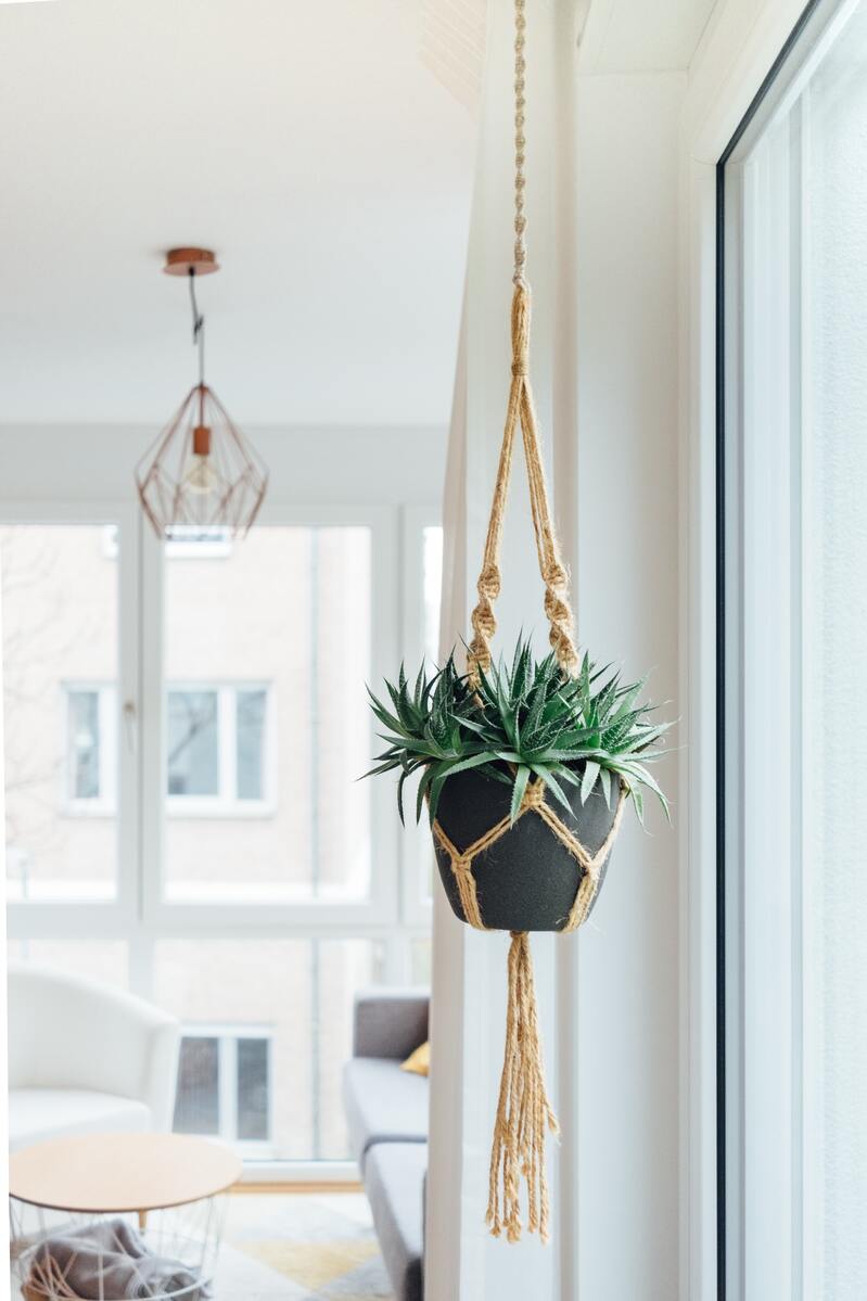 Hängepflanze in einem grauen Topf in einem braun-beigen Makramee in einer mehrheitlich weiss eingerichteten Wohnung