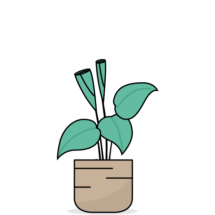 Grafische Darstellung einer Pflanze mit eingerollten Blättern