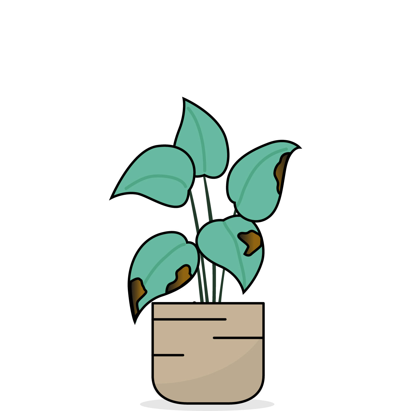 Grafische Darstellung einer Pflanze mit dunkelbraunen Flecken auf den Blättern