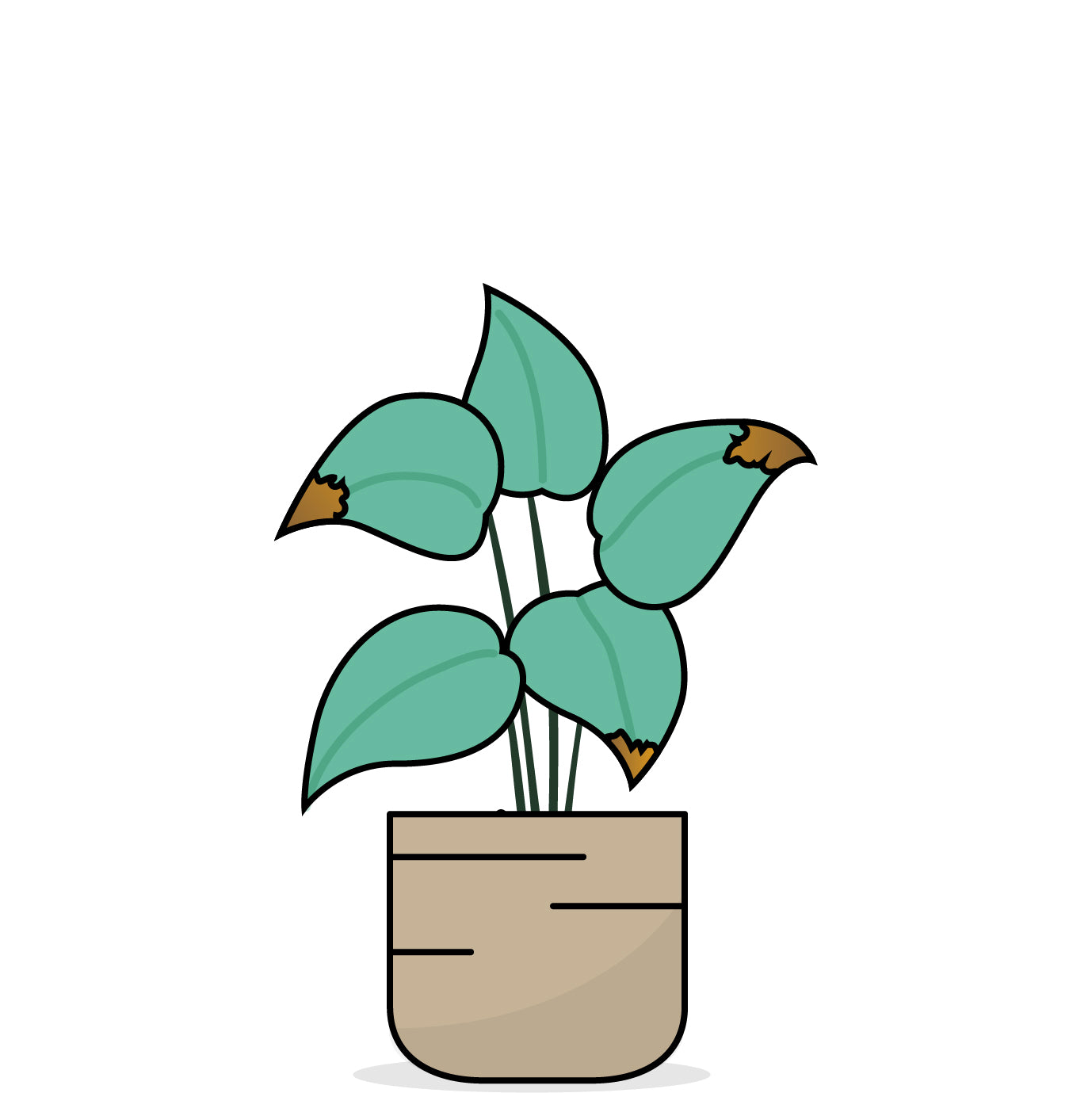 Grafische Darstellung einer Pflanze mit braunen Blattspitzen