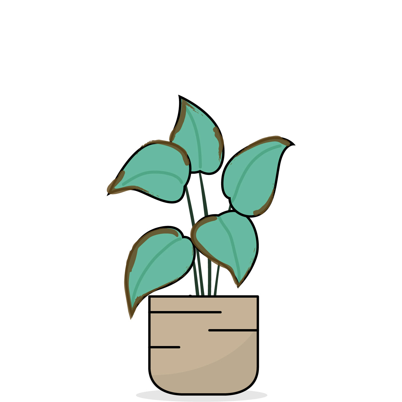 Grafische Darstellung einer Pflanze mit braunen Blatträndern