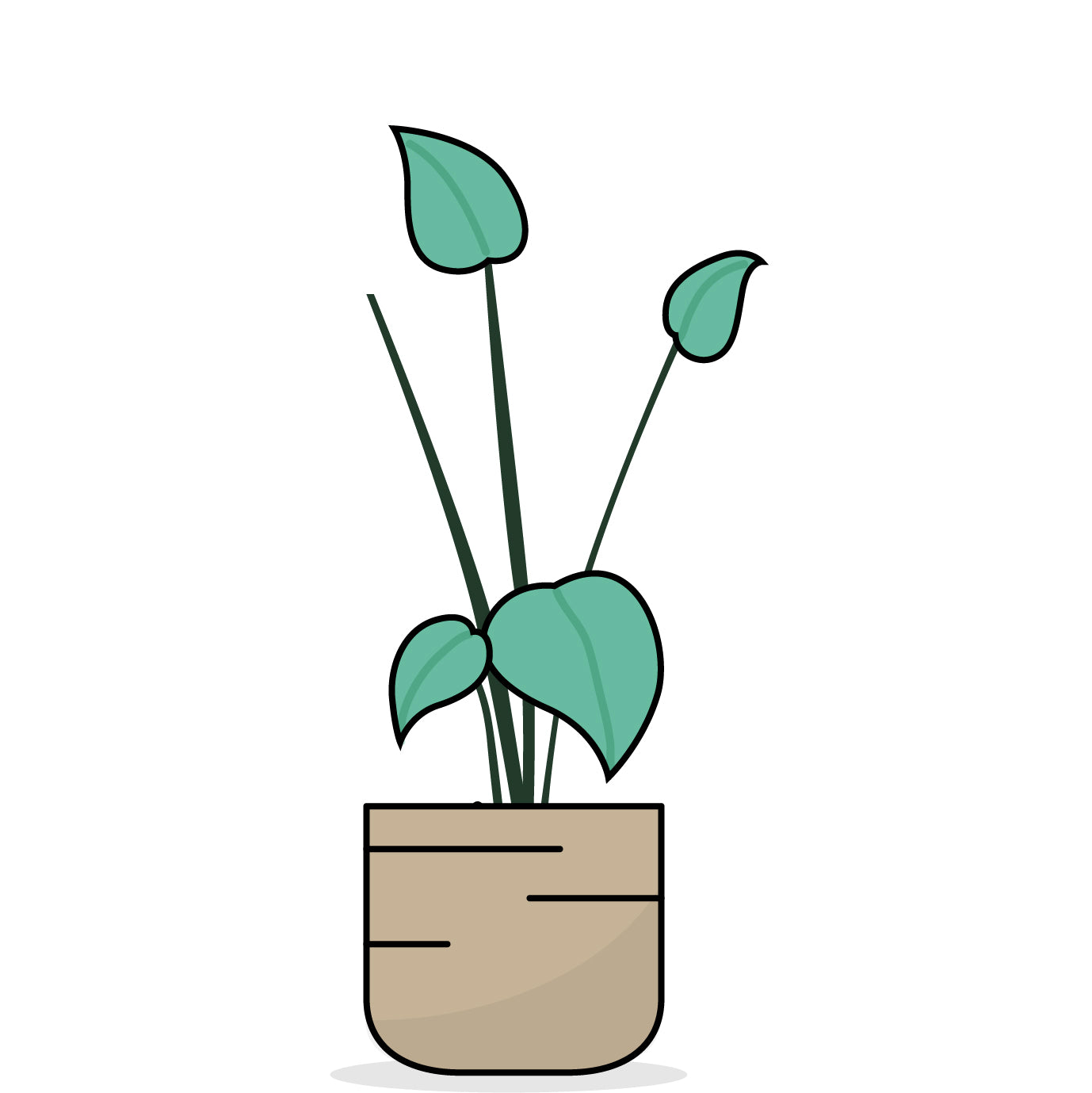 Grafische Darstellung einer Pflanze mit langen Trieben und kleinen Blättern