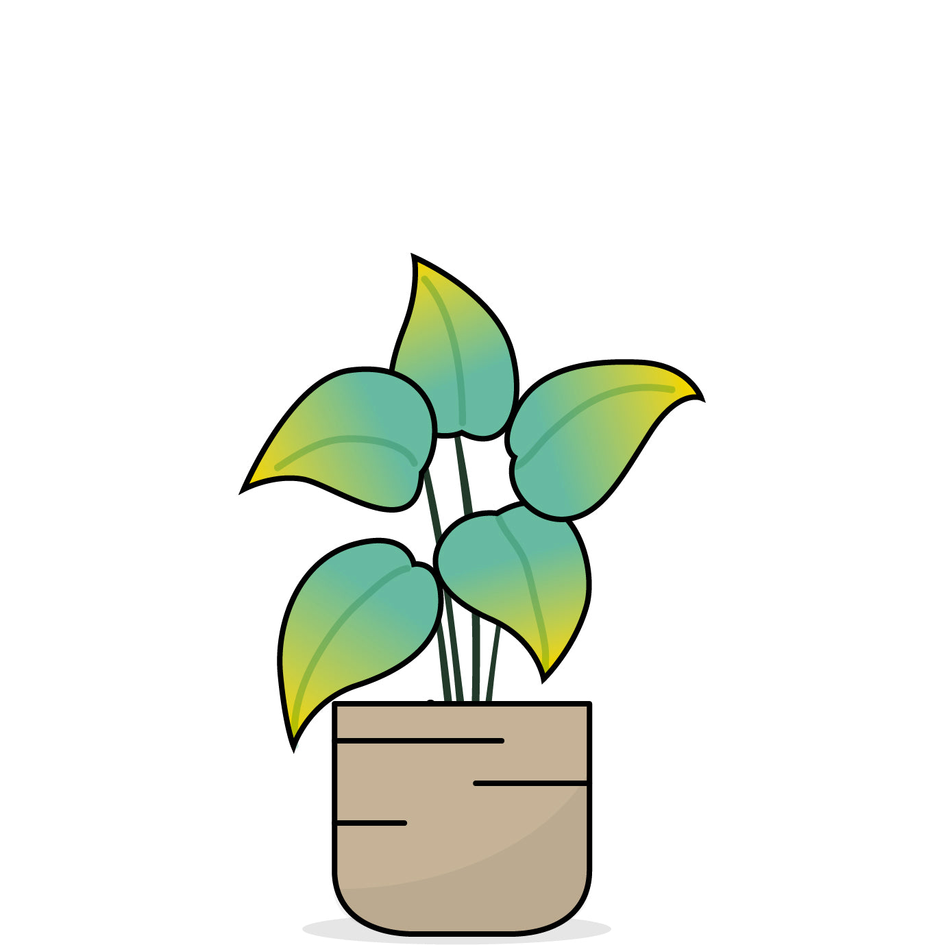 Grafische Darstellung einer Pflanze mit gelben Blattspitzen