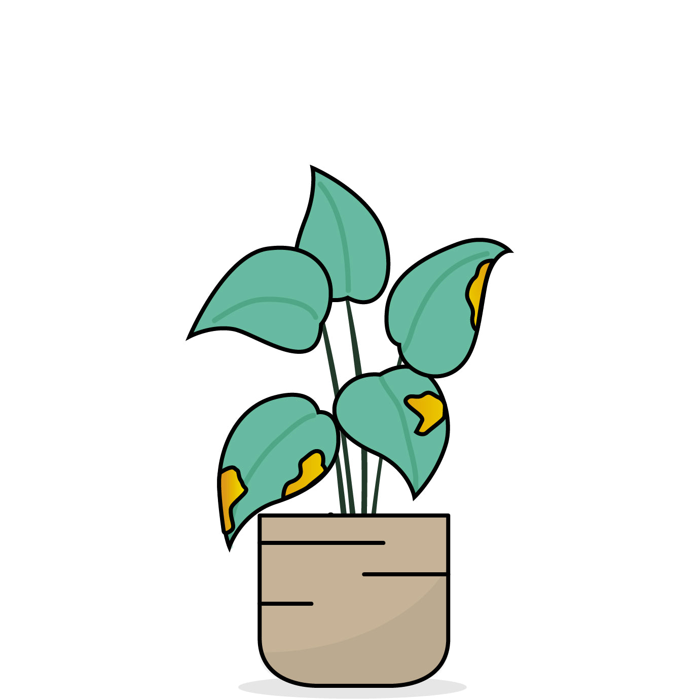 Grafische Darstellung einer Pflanze mit orangen Flecken auf den Blättern