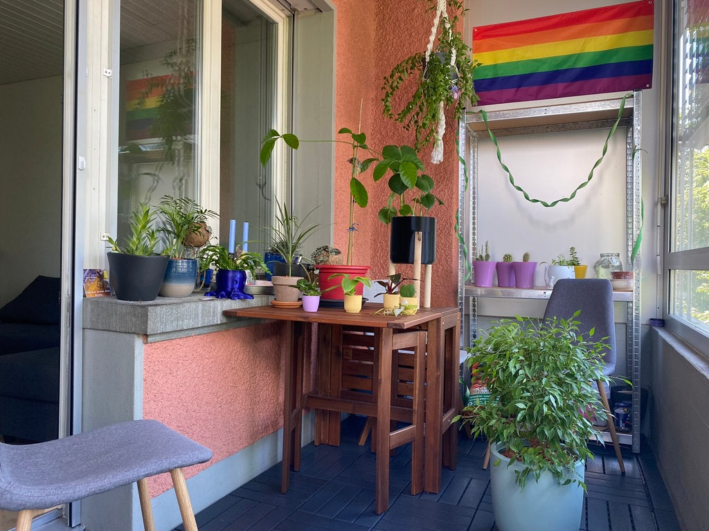 Wintergarten mit kleineren feey-Pflanzen auf einem Holztisch, dahinter Hängepflanzen in Makramees und eine Pride-Flagge
