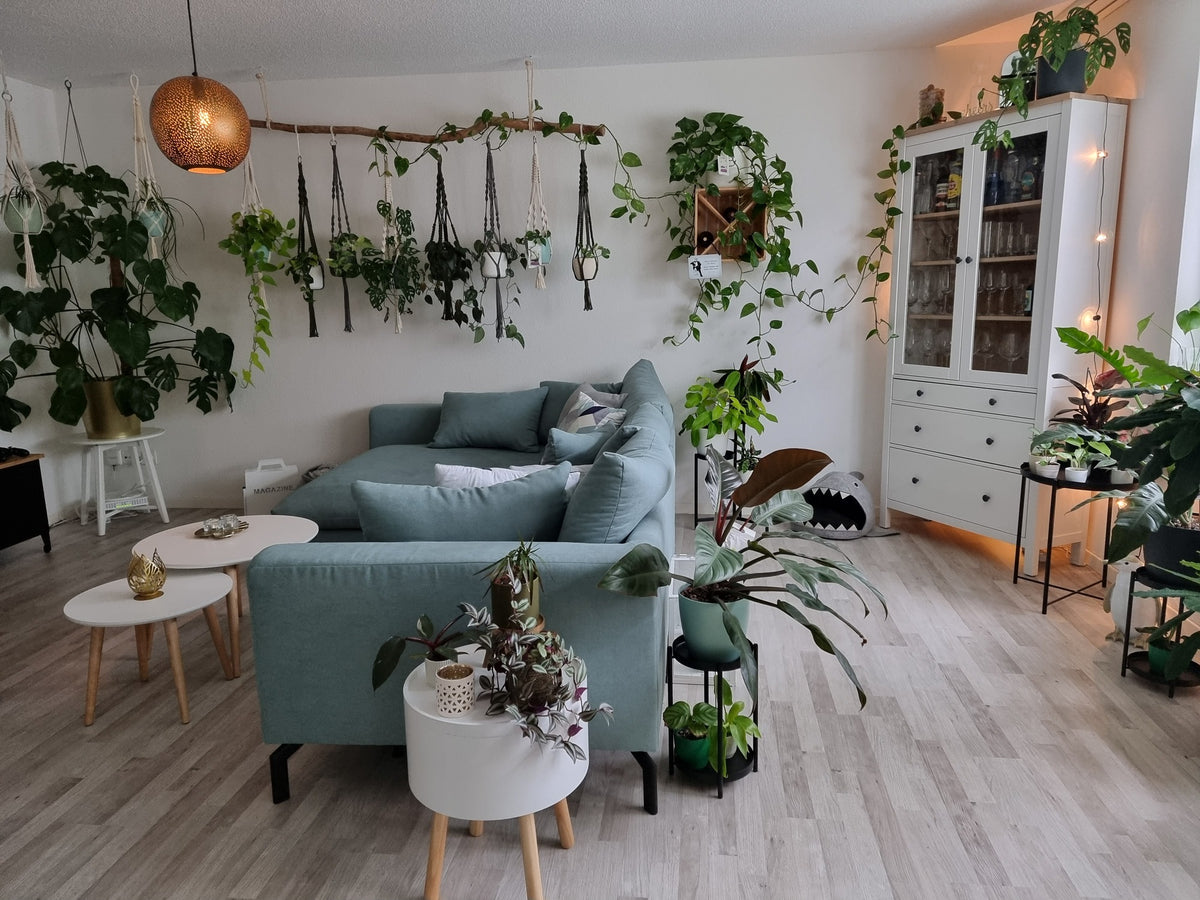 In Grau gehaltenes Wohnzimmer inkl. Sofa, an dessen Wänden, Schränken, Regalen und auf Hockern überall Pflanzen stehen oder hängen