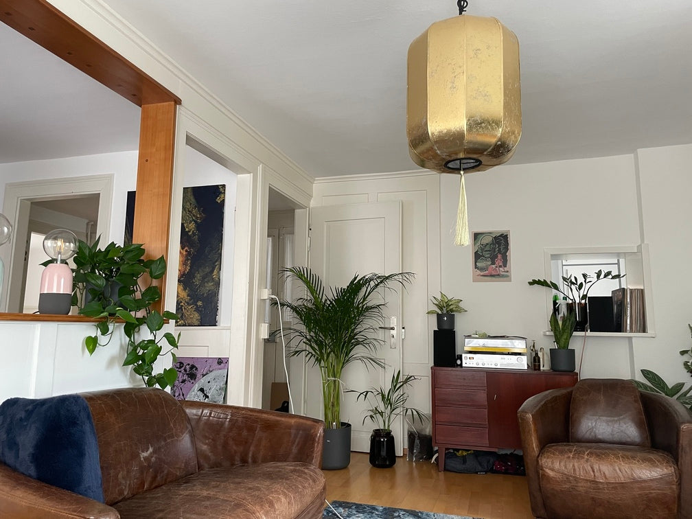 feey-Pflanzen in einem gemütlichen Wohnzimmer mit braunem Boden und dunkelbraunen Ledersesseln