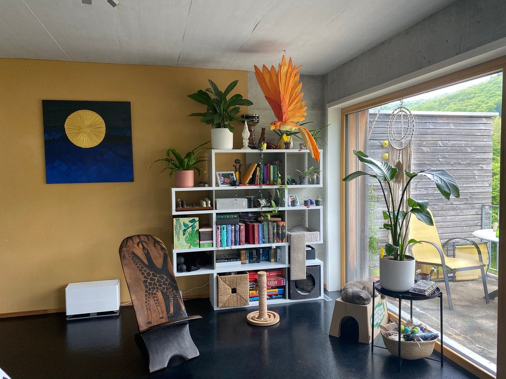 Wohnzimmer mit weissem Kastenregal vor gelber Wand, darin viele Bücher und Zimmerpflanzen, davor ein orange-gelber, an der Decke aufgehängter Phönix und rechts eine Fensterfront, vor der eine Strelitzie steht