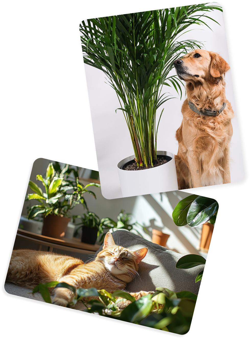 Group 19.png__PID:de3f314c-669b-41bc-994d-f0de4c8e6a30